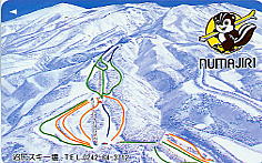 �X�L�[�@���K