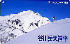 �e���J�@�J��x