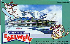 �e���J�@�G�[�f�����C�X