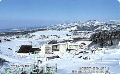 �O���[���s�A�Ó�