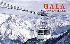 �K�[������