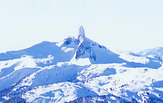 �E�B�X���[